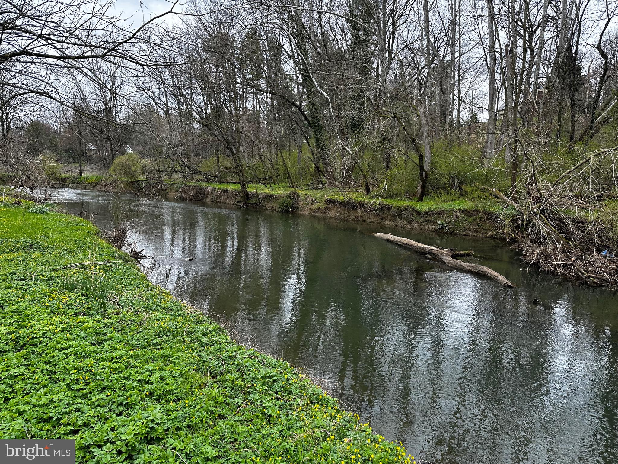 80 Jackson Drive Lancaster, PA 17603 - Photo 5 of 10 a view of a lake with a yard and large trees