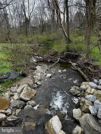 a view of a tree with a yard