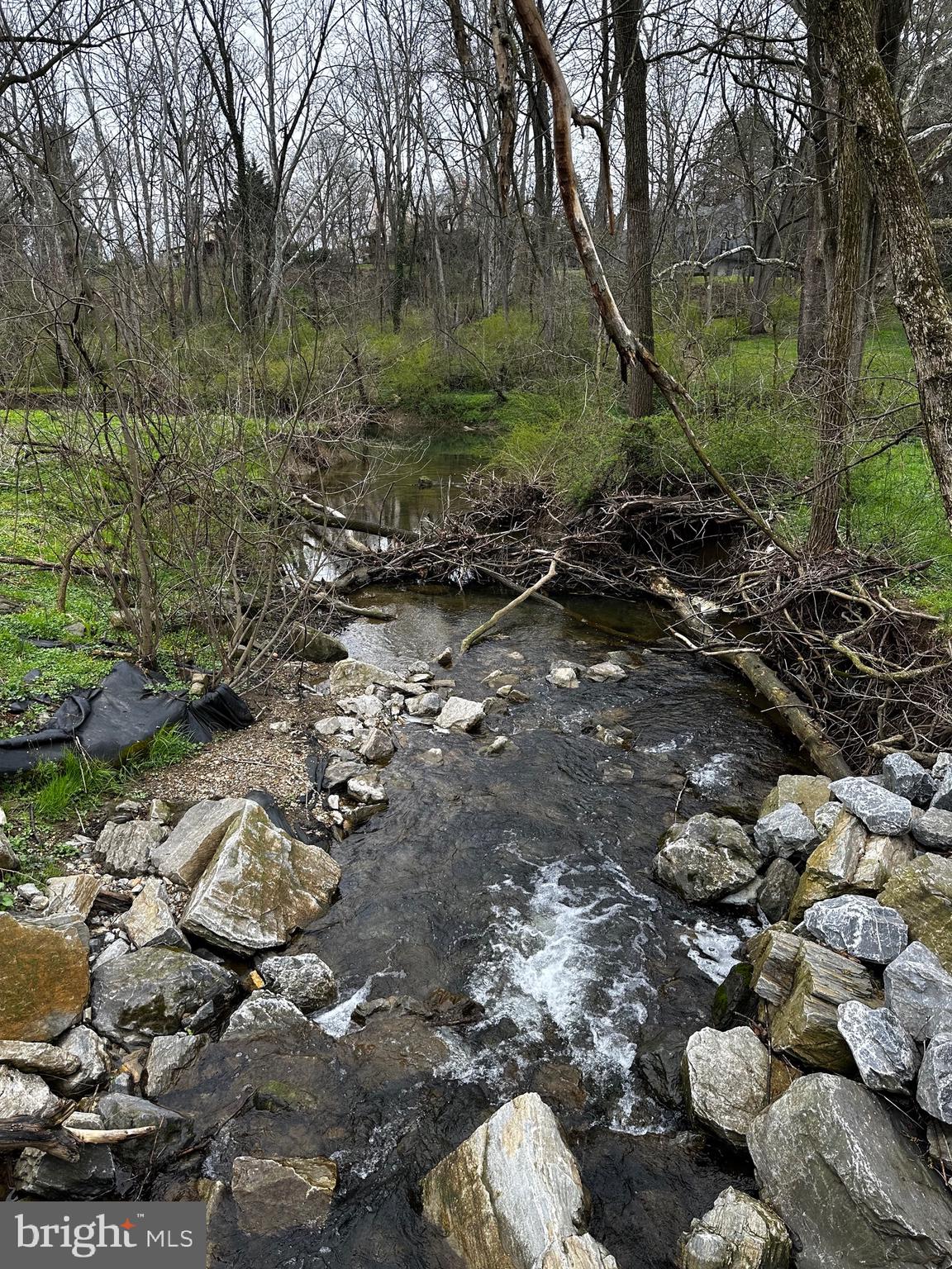 80 Jackson Drive Lancaster, PA 17603 - Photo 9 of 10 a view of a tree with a yard