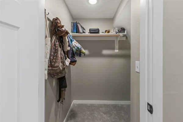 a room with a potted plant and couches