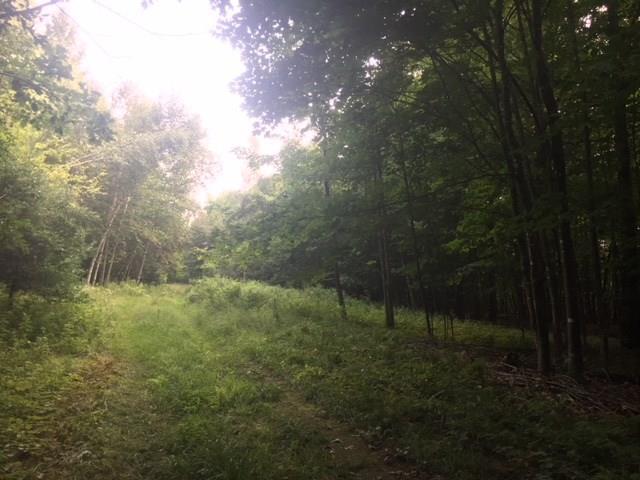 0 Oak Hill Road Kents Hill, ME 04349 - Photo 9 of 10 Photo