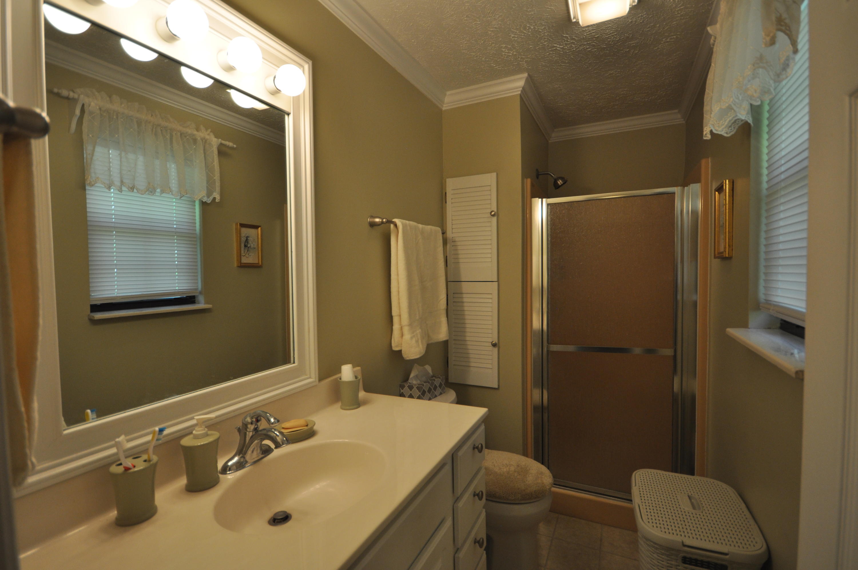 8236 Cricket Road Powell, TN 37849 - Photo 9 of 17 Cricket master bath