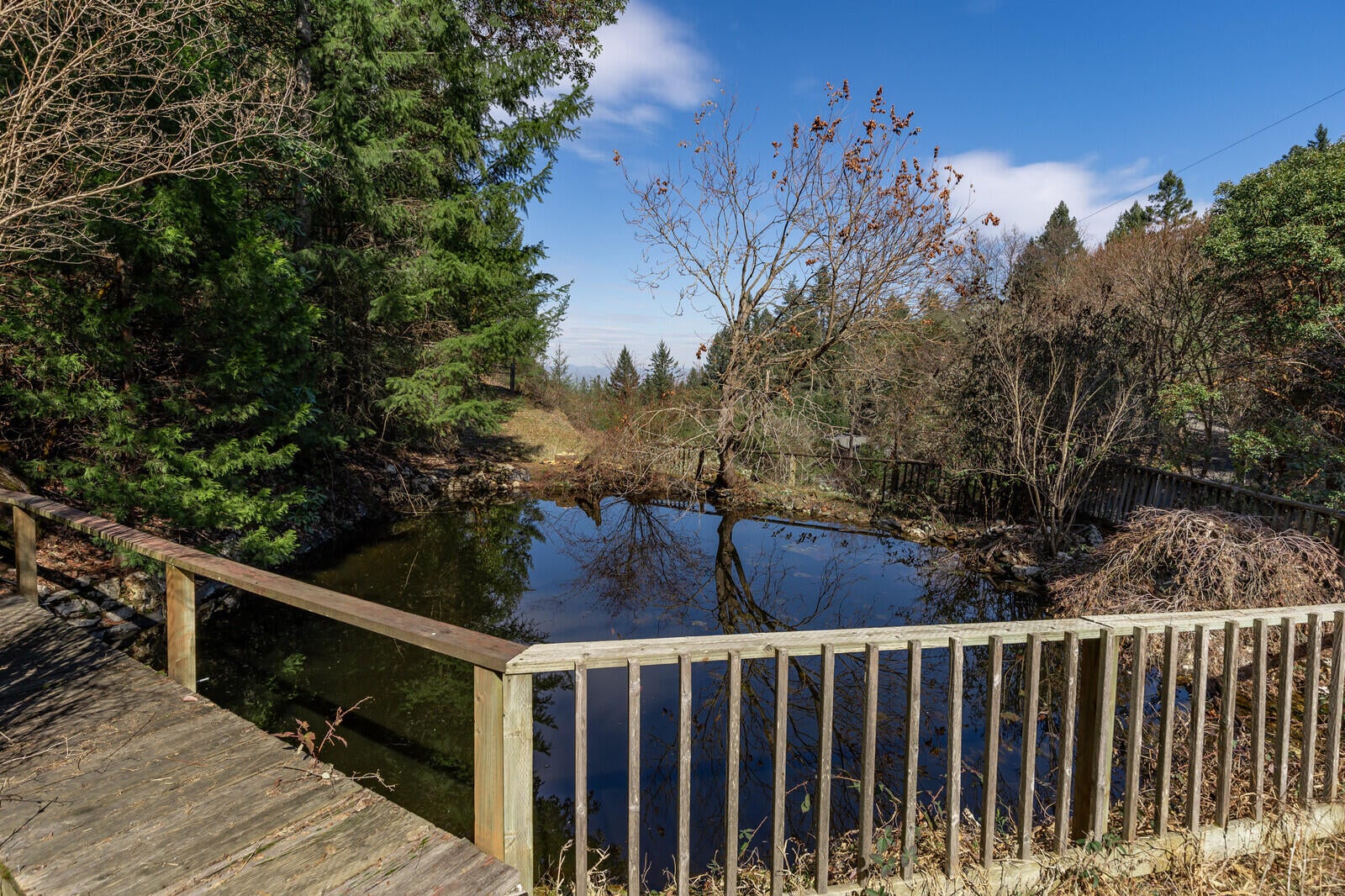 2135 Knowles Road Medford, OR 97501 - Photo 17 of 55 15_KR_15_mls