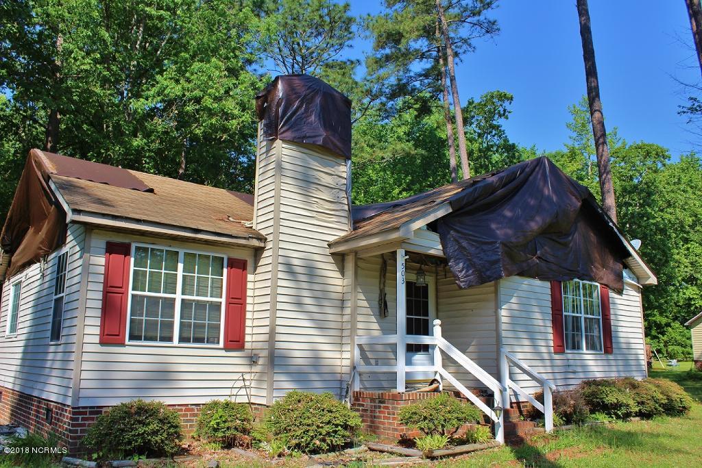 503 North Walnut Street Spring Hope, NC 27882 - Photo 3 of 3 IMG_0244 (1024x683)