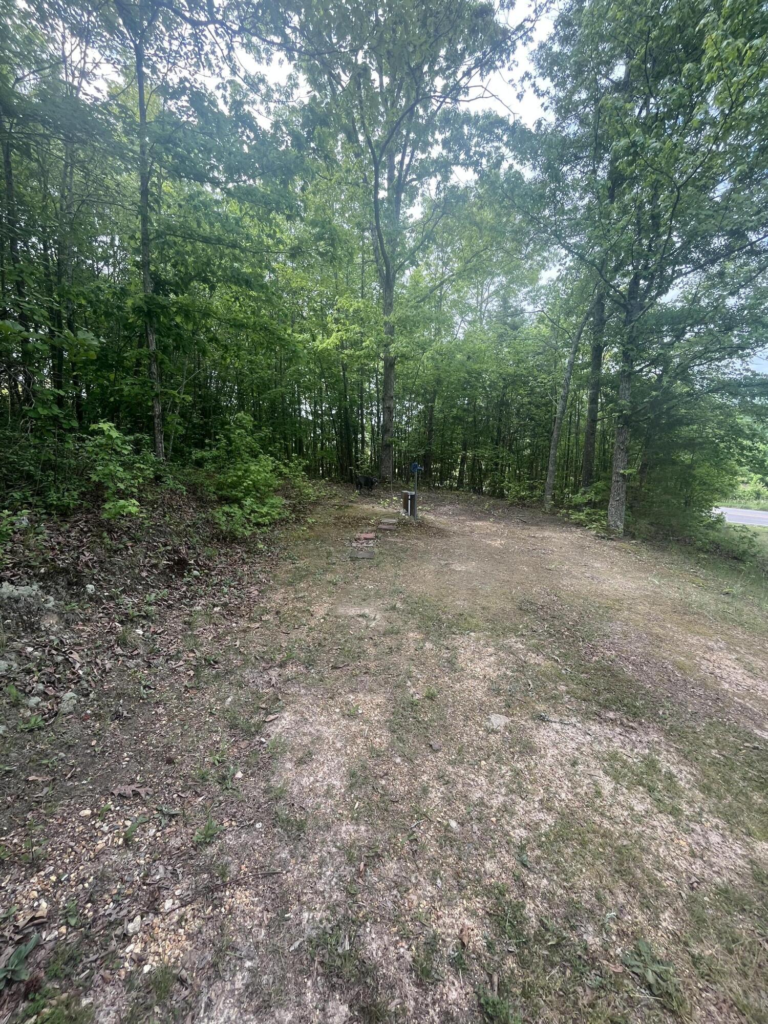 281 Ben Childs Road LaFayette, GA 30728 - Photo 17 of 27 IMG_1368