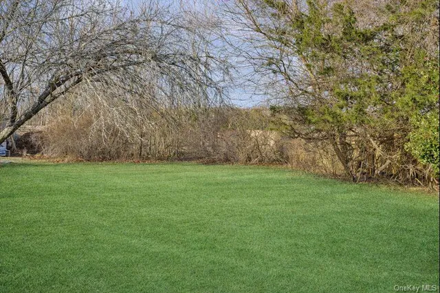 a view of yard with green space