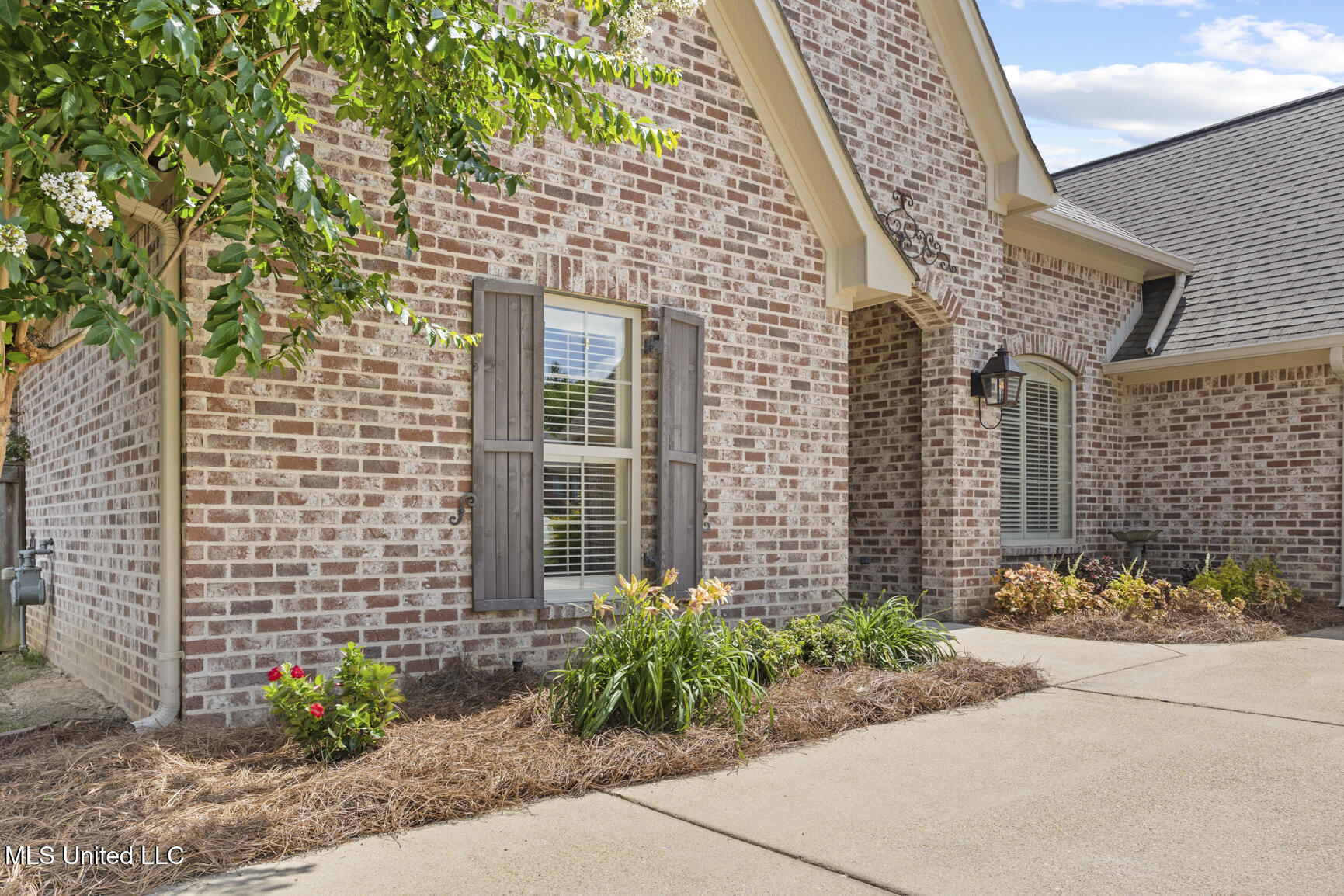 133 Sycamore Ridge Madison, MS 39110 - Photo 14 of 45 133 Sycamore Ridge-3