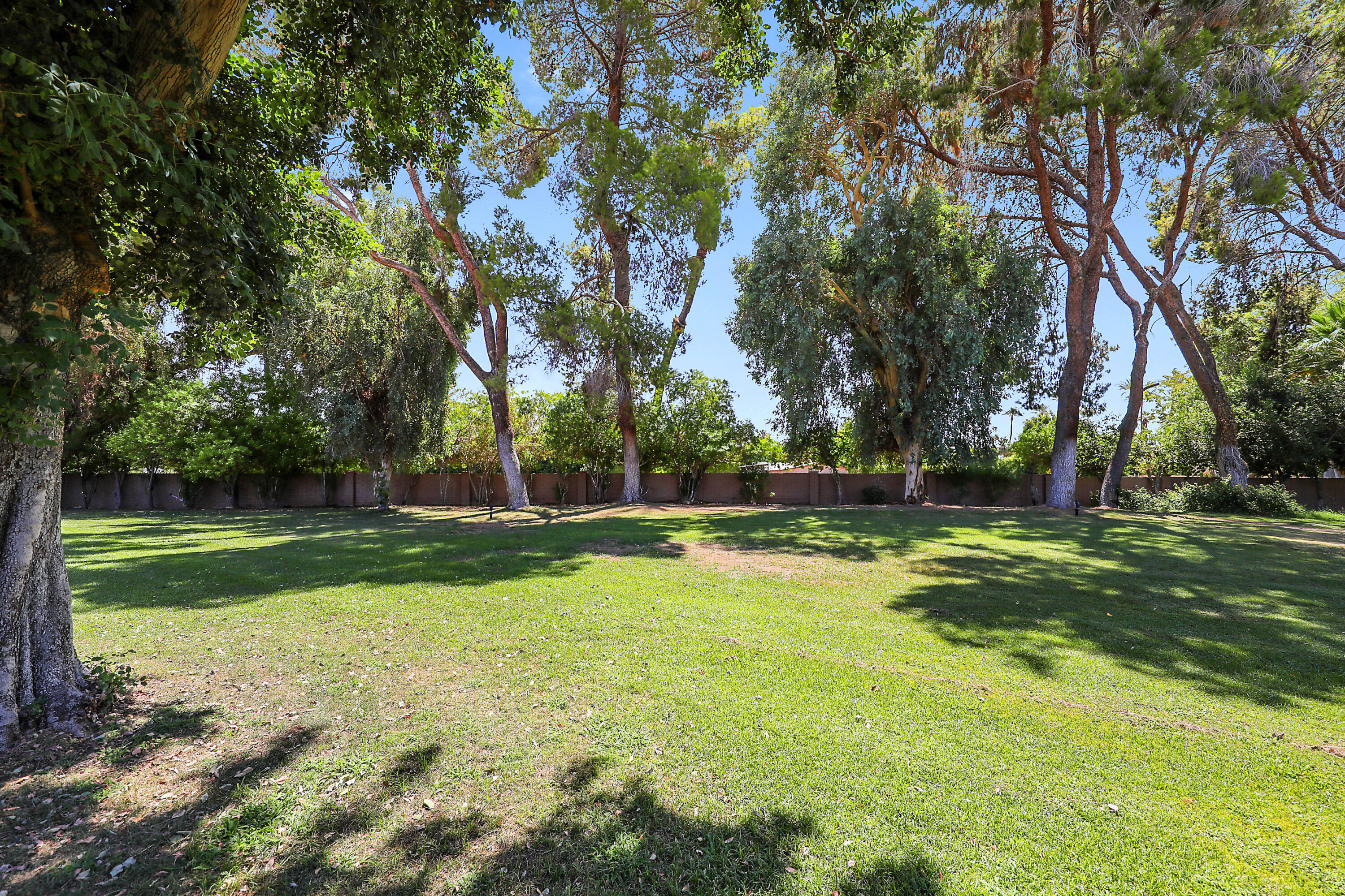 5 Majorca Drive Rancho Mirage, CA 92270 - Photo 22 of 40 a view of a park with large trees
