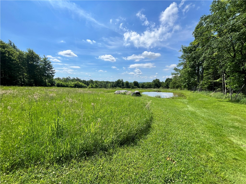 882 Alma Hill Road Alma, NY 14708 - Photo 31 of 46
