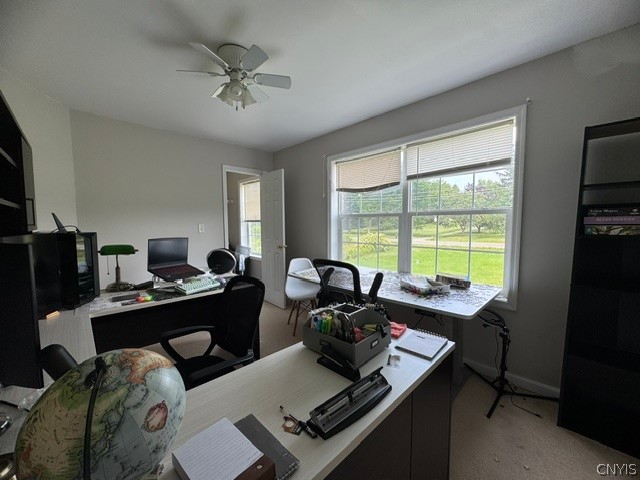 707 Ridge Road Lansing, NY 14882 - Photo 9 of 12 Gallery Image 9