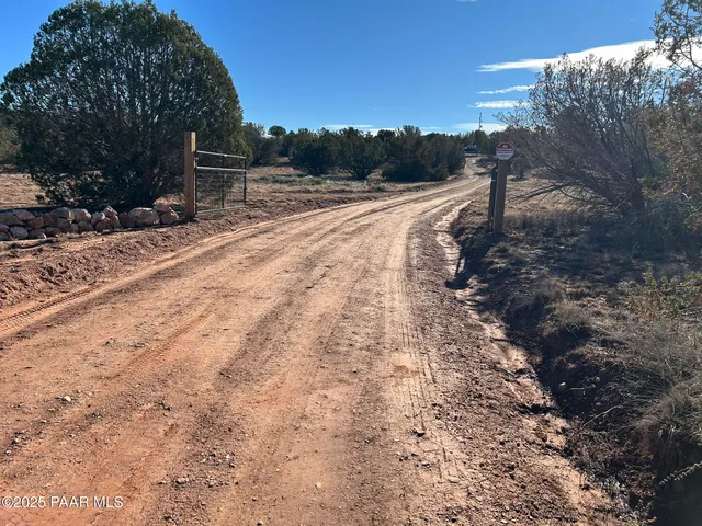 a view of a yard with plants and trees