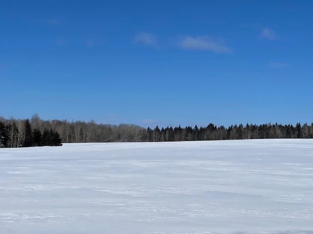 0 Tracy Road Amity, ME 04471 - Photo 4 of 16 IMG_9012