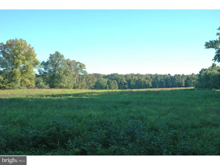 Pc3 East Lewis Shore Road Elkton, MD 21921 - Photo 3 of 11 Gallery Image 3