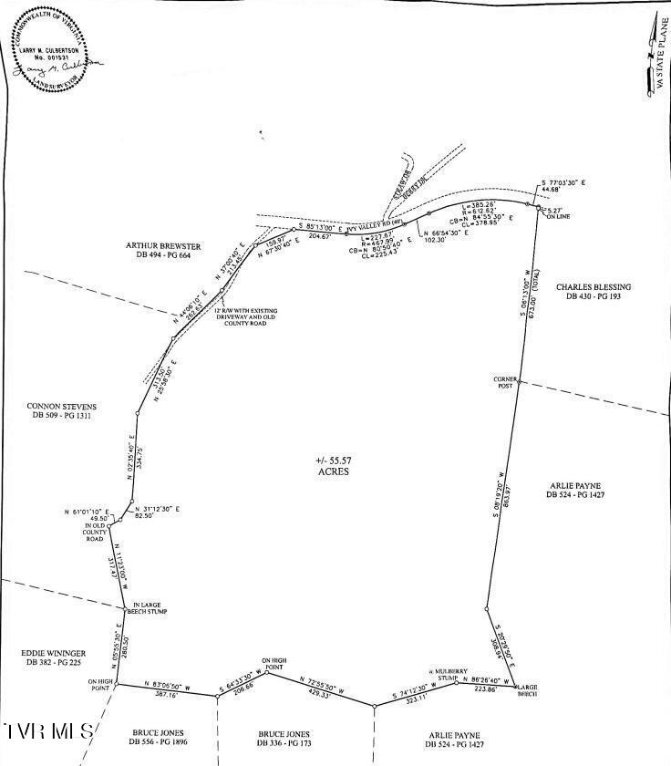 Tbd Ivy Valley Road Gate City, VA 24251 - Photo 10 of 12 20230331160356623116000000-o