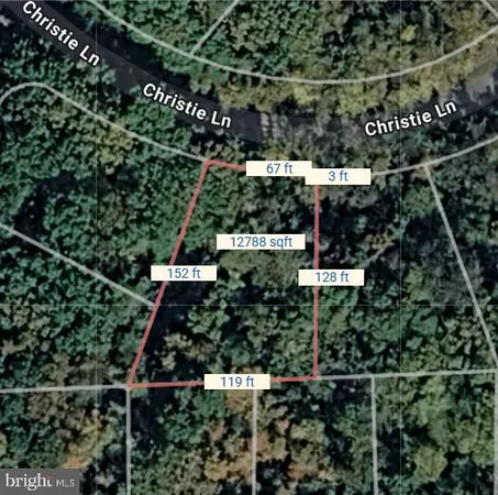 $6,000 | Lot 234 Christie Lane, Cross Junction, VA 22625