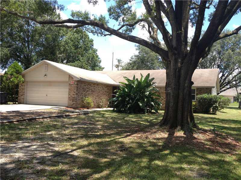 a tree in a yard next to a building
