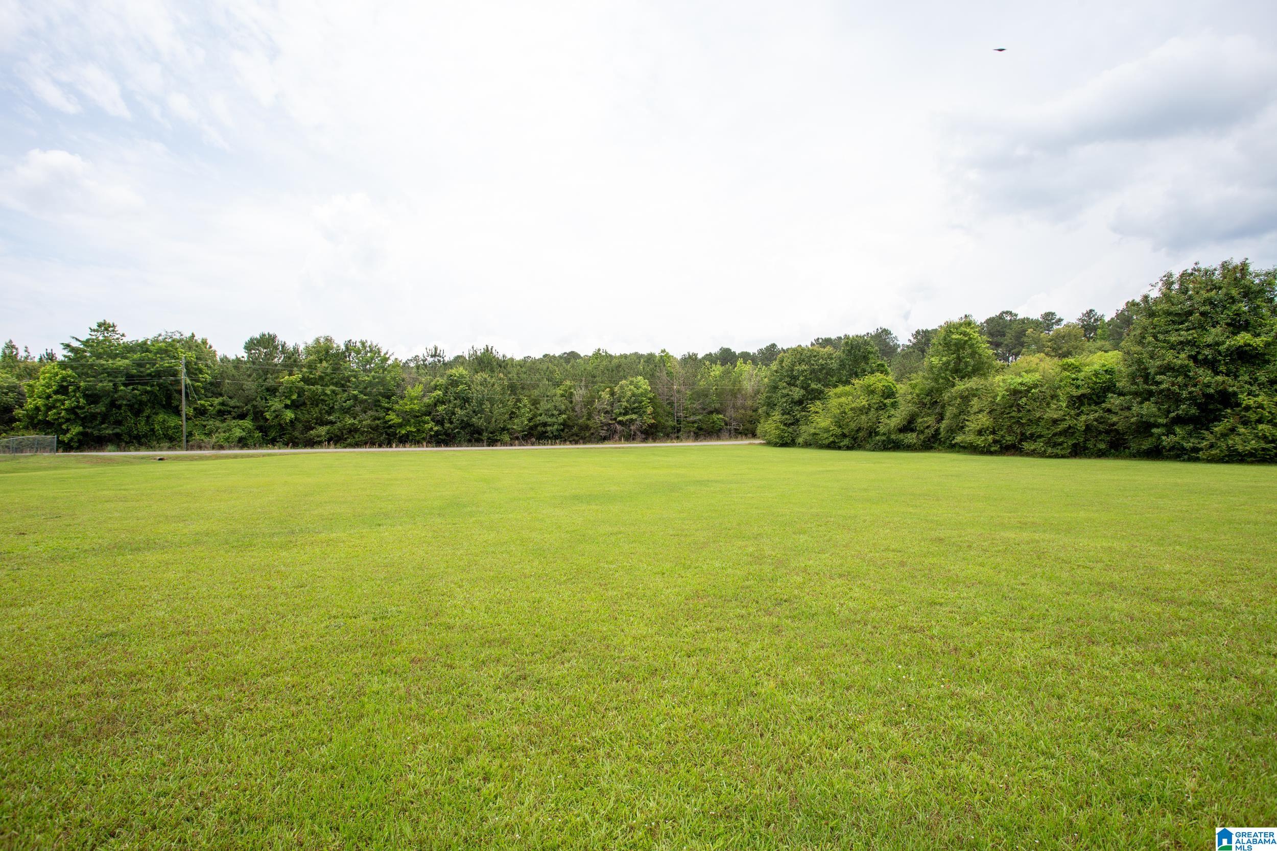 7551 Jackson Trace Road Lincoln, AL 35096 - Photo 37 of 40