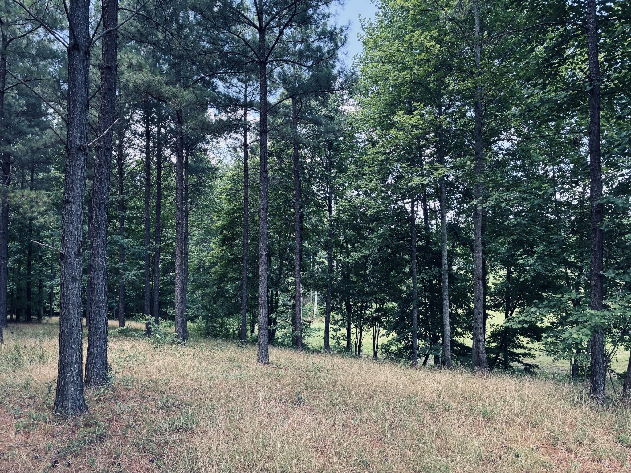 1711 Raulston Fls Road Jasper, TN 37347 - Photo 8 of 40