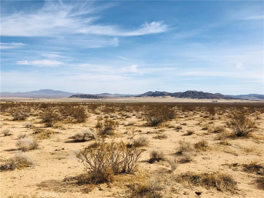 2 Joshua Tree Road Johnson Valley, CA 92285 - Photo 1 of 1 Gallery Image 1