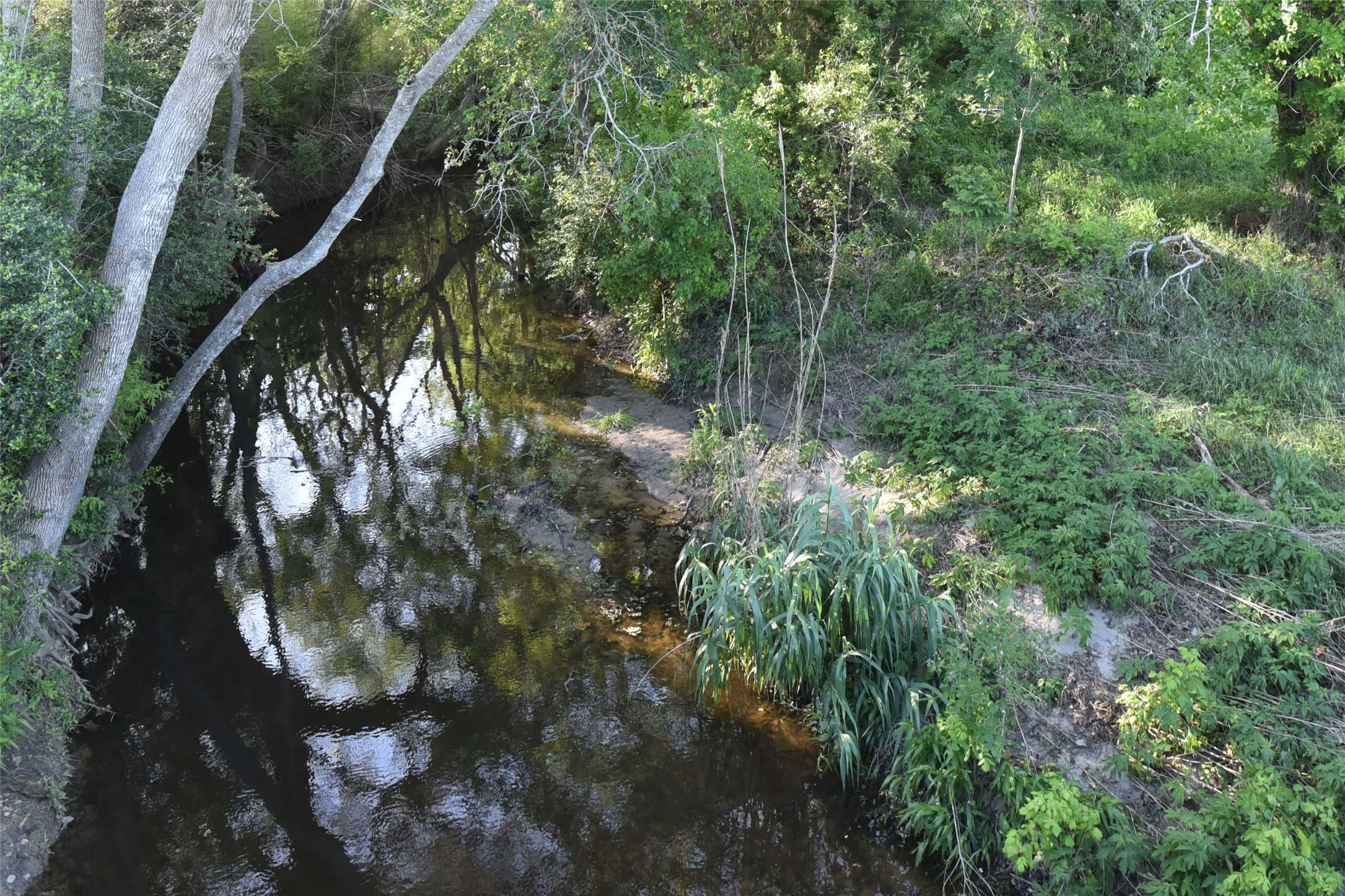 2231 US 90 Schulenburg, TX 78956 - Photo 19 of 31 a view of a forest