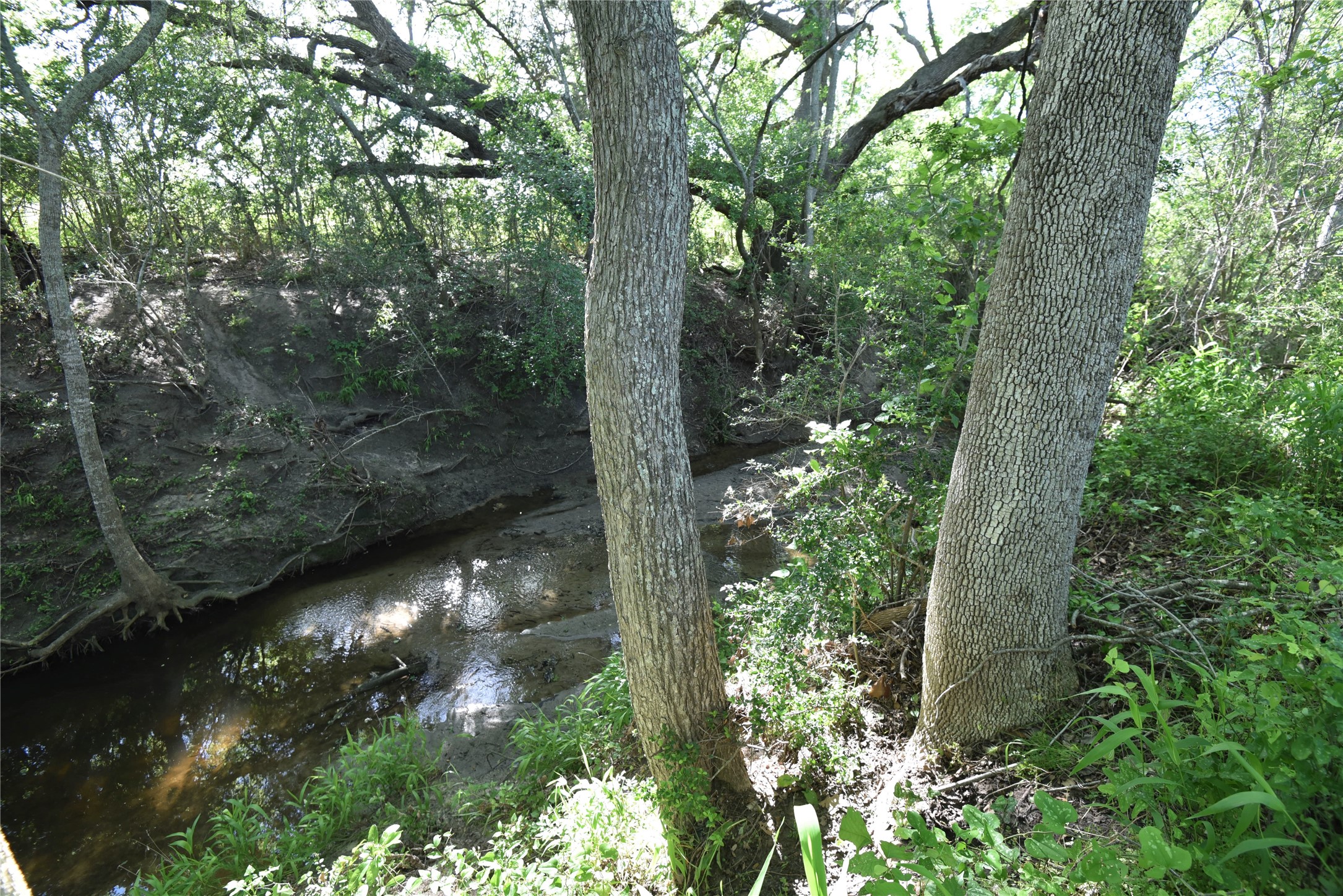 2231 US 90 Schulenburg, TX 78956 - Photo 21 of 31 a view of a lake with a forest