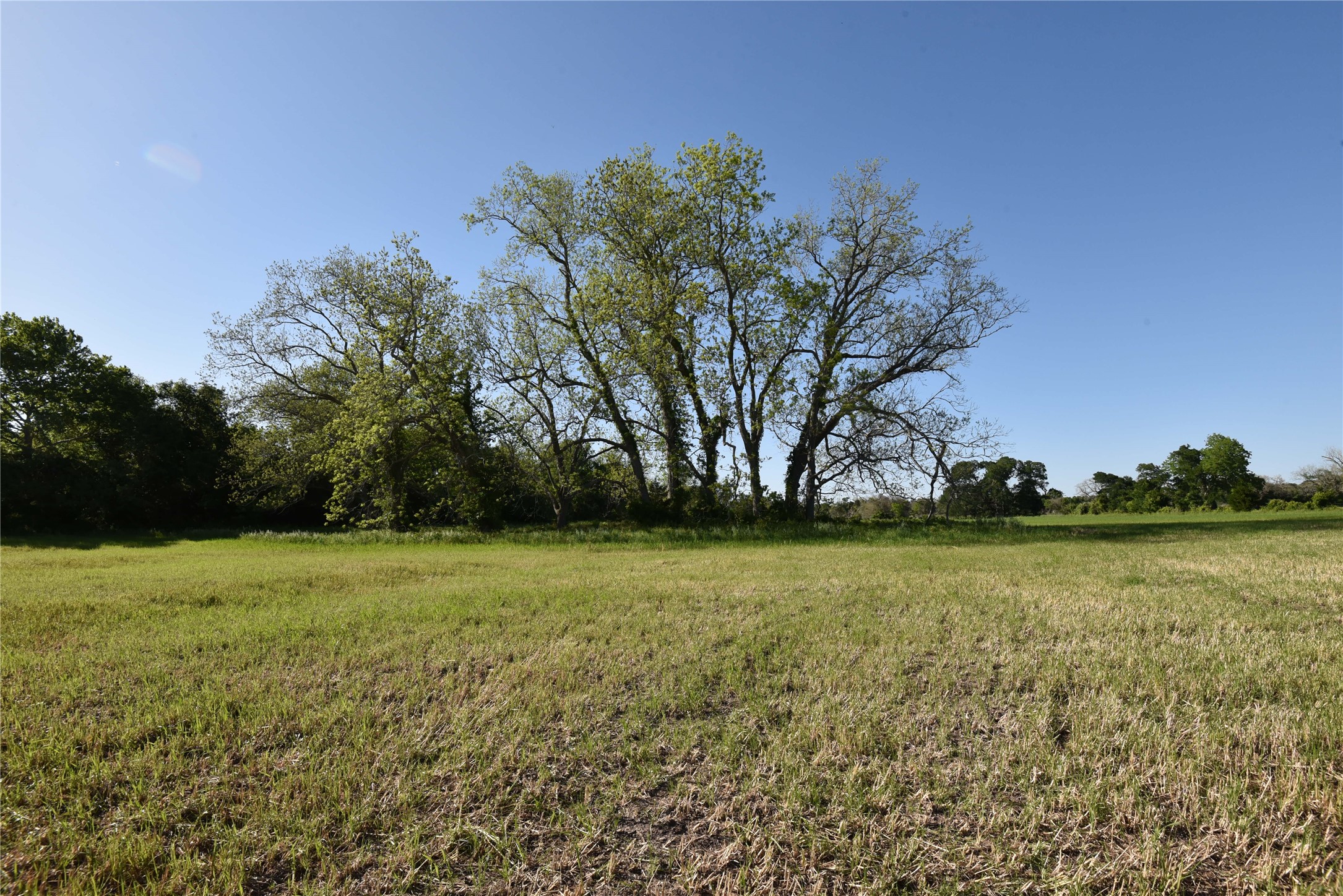 2231 US 90 Schulenburg, TX 78956 - Photo 22 of 31 a view of a field with trees