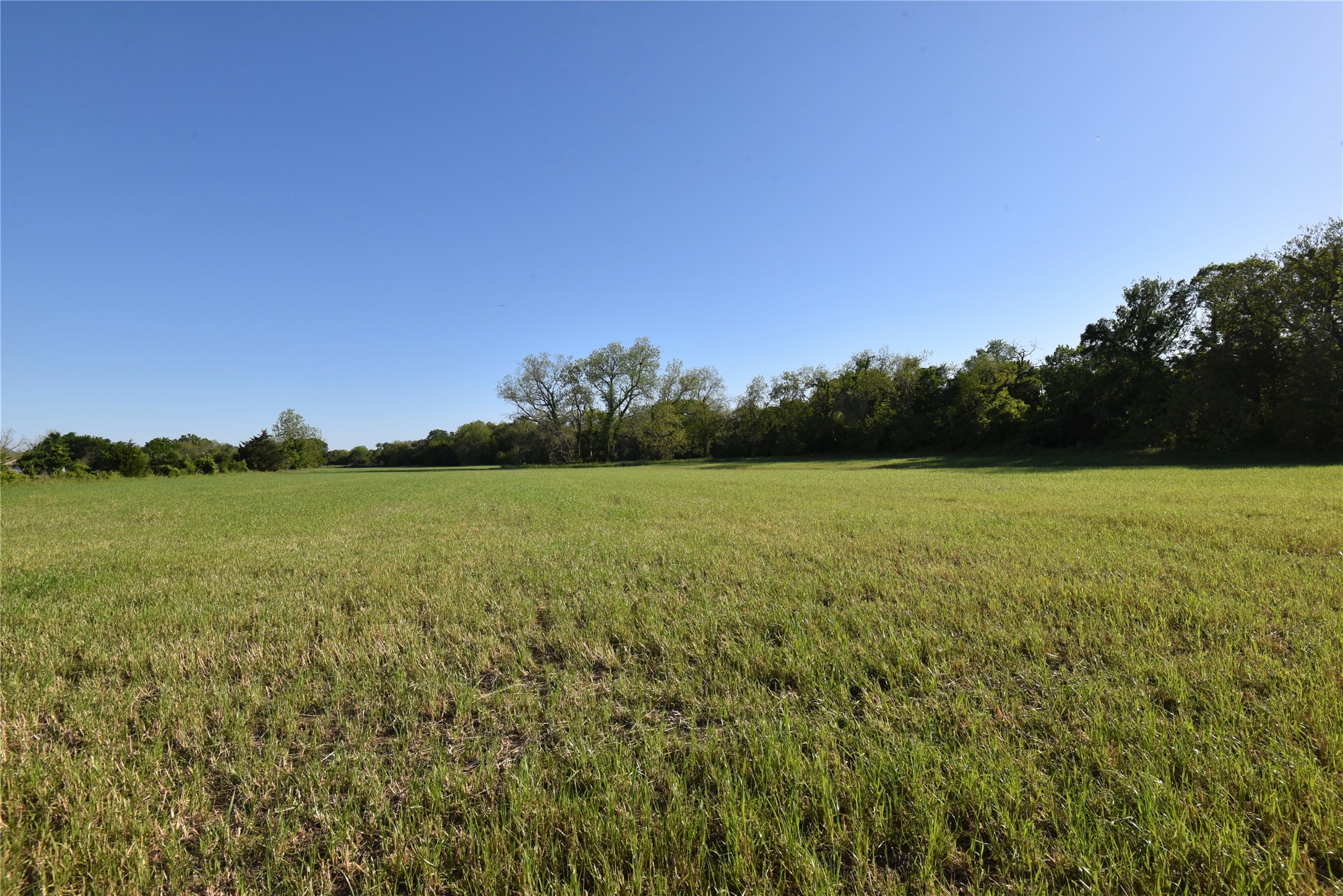 2231 US 90 Schulenburg, TX 78956 - Photo 26 of 31 a view of a lake from a yard