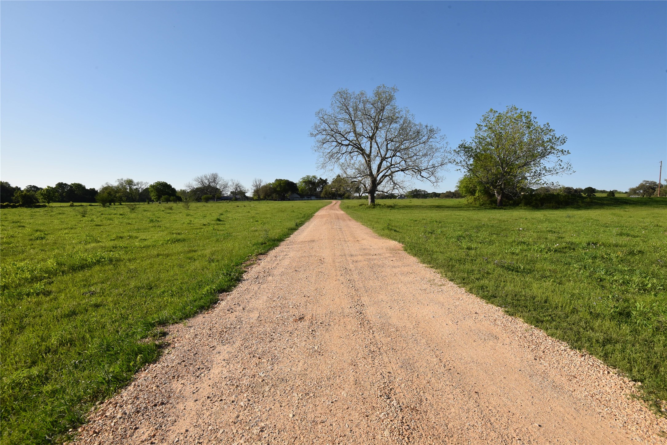 2231 US 90 Schulenburg, TX 78956 - Photo 30 of 31 a view of a park with large trees