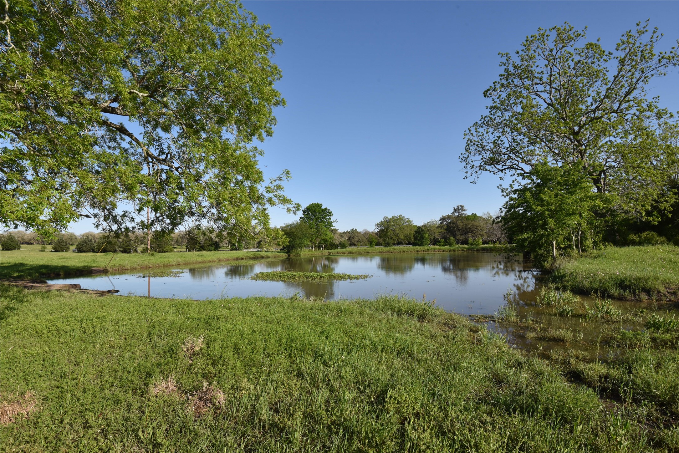 2231 US 90 Schulenburg, TX 78956 - Photo 6 of 31 a view of a lake from a yard