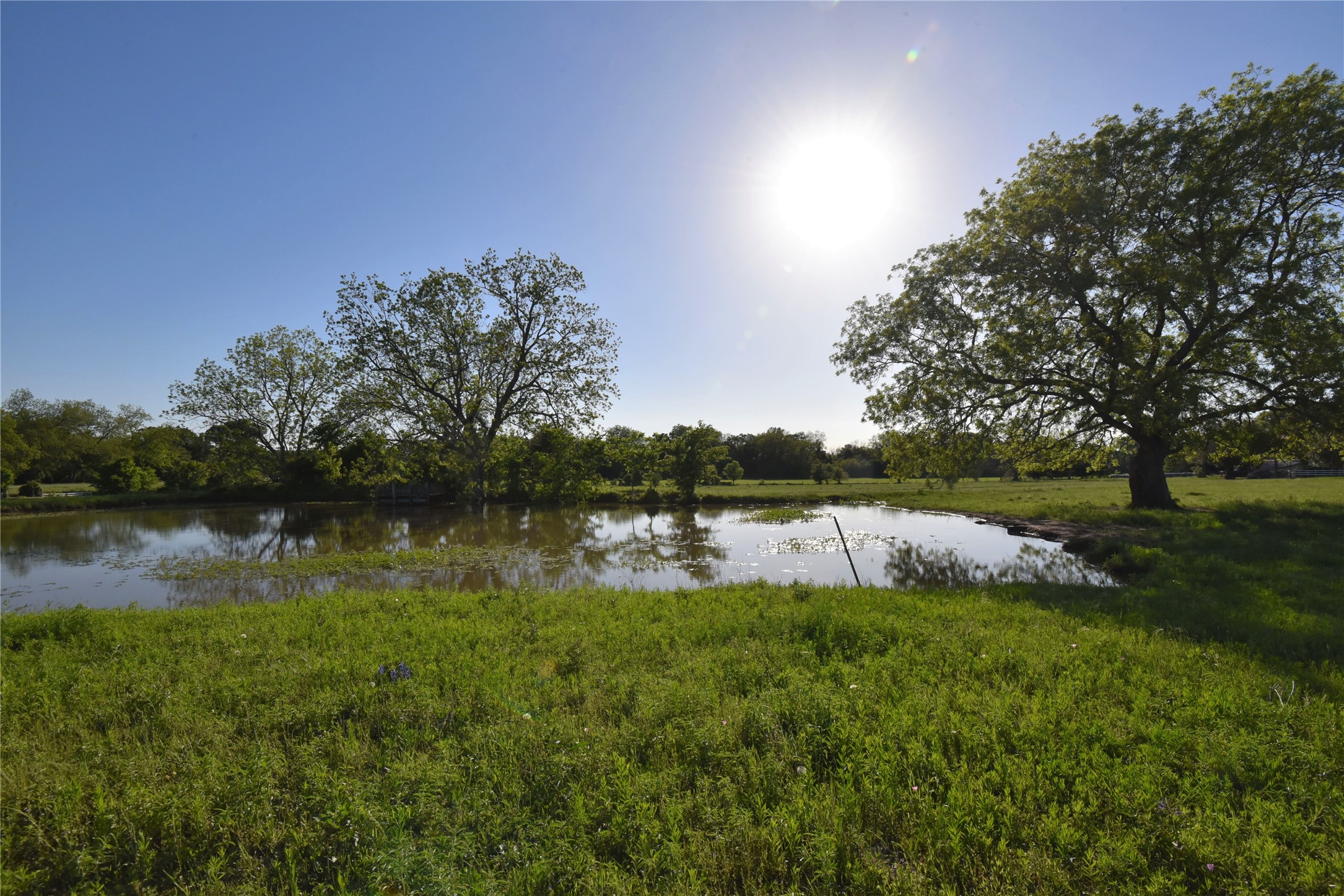 2231 US 90 Schulenburg, TX 78956 - Photo 7 of 31 a view of lake with green space