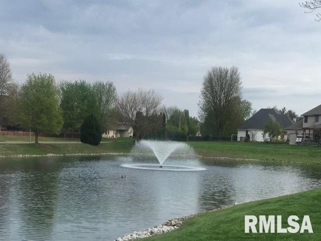 2508 Chicory Drive Springfield, IL 62711 - Photo 44 of 47
