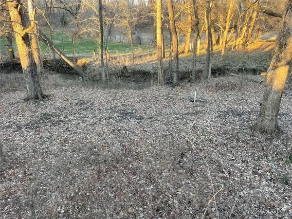 $779,000 | 347 Northeast County Road, Warrensburg, MO 64093