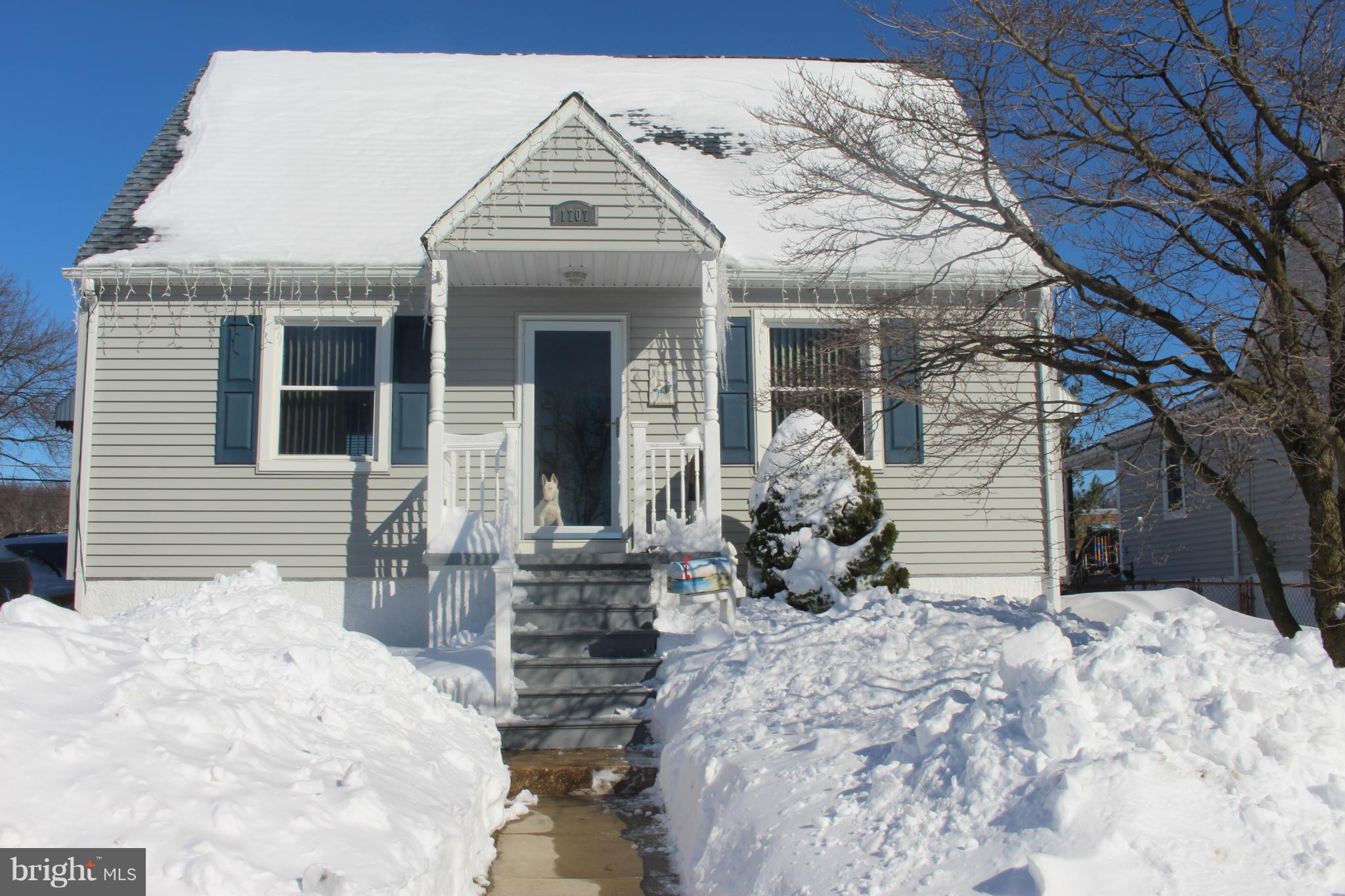 1707 Rita Road Baltimore, MD 21222 - Photo 1 of 20 snow now, flowers soon!