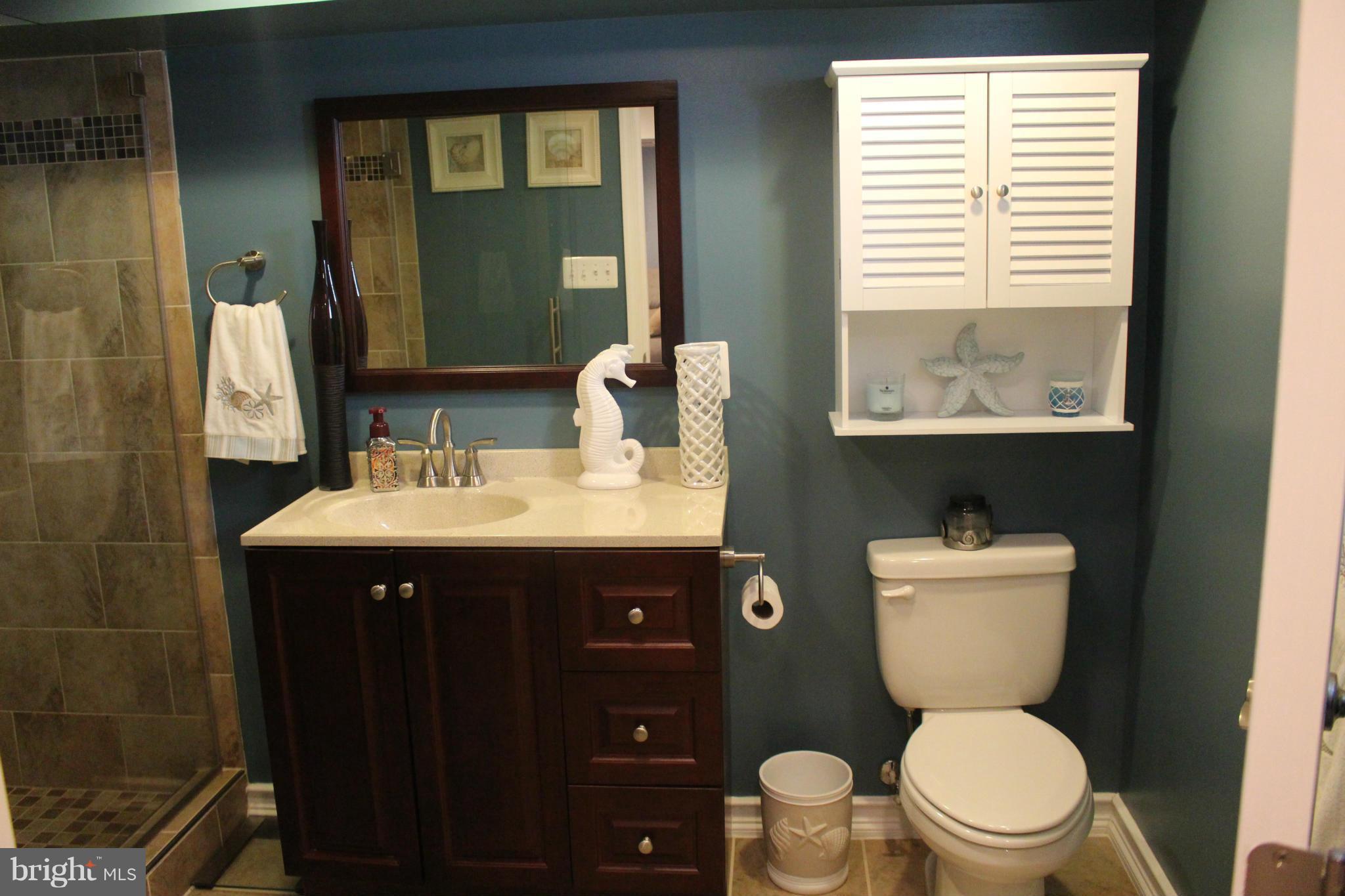 1707 Rita Road Baltimore, MD 21222 - Photo 13 of 20 basement full bath