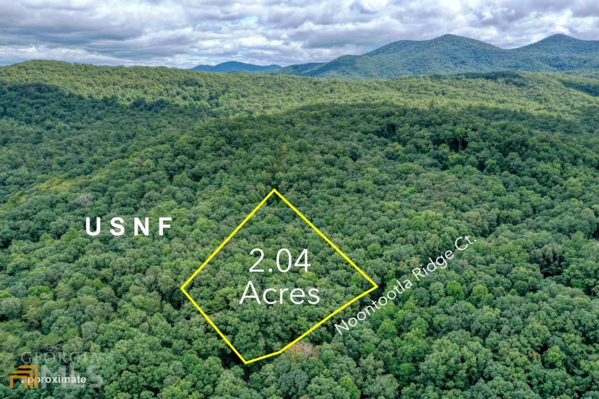 11 Noontootla Ridge, Unit LOT 11 Blue Ridge, GA 30513 - Photo 1 of 1 Gallery Image 1