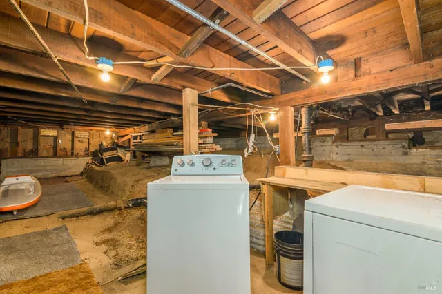 a view of a forest with trees in the background