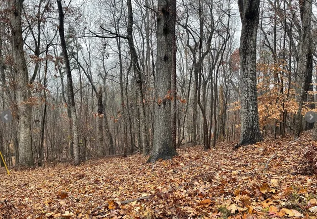 $12,000 | Lot 2134 South Arrowhead Drive, Westminster, SC 29693