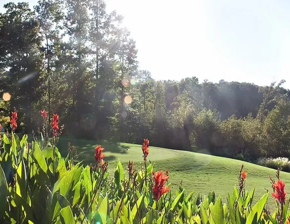 $12,000 | Lot 2134 South Arrowhead Drive, Westminster, SC 29693