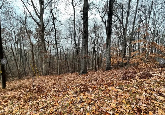 $12,000 | Lot 2134 South Arrowhead Drive, Westminster, SC 29693