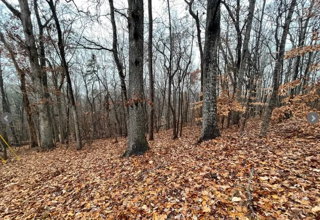 $12,000 | Lot 2134 South Arrowhead Drive, Westminster, SC 29693