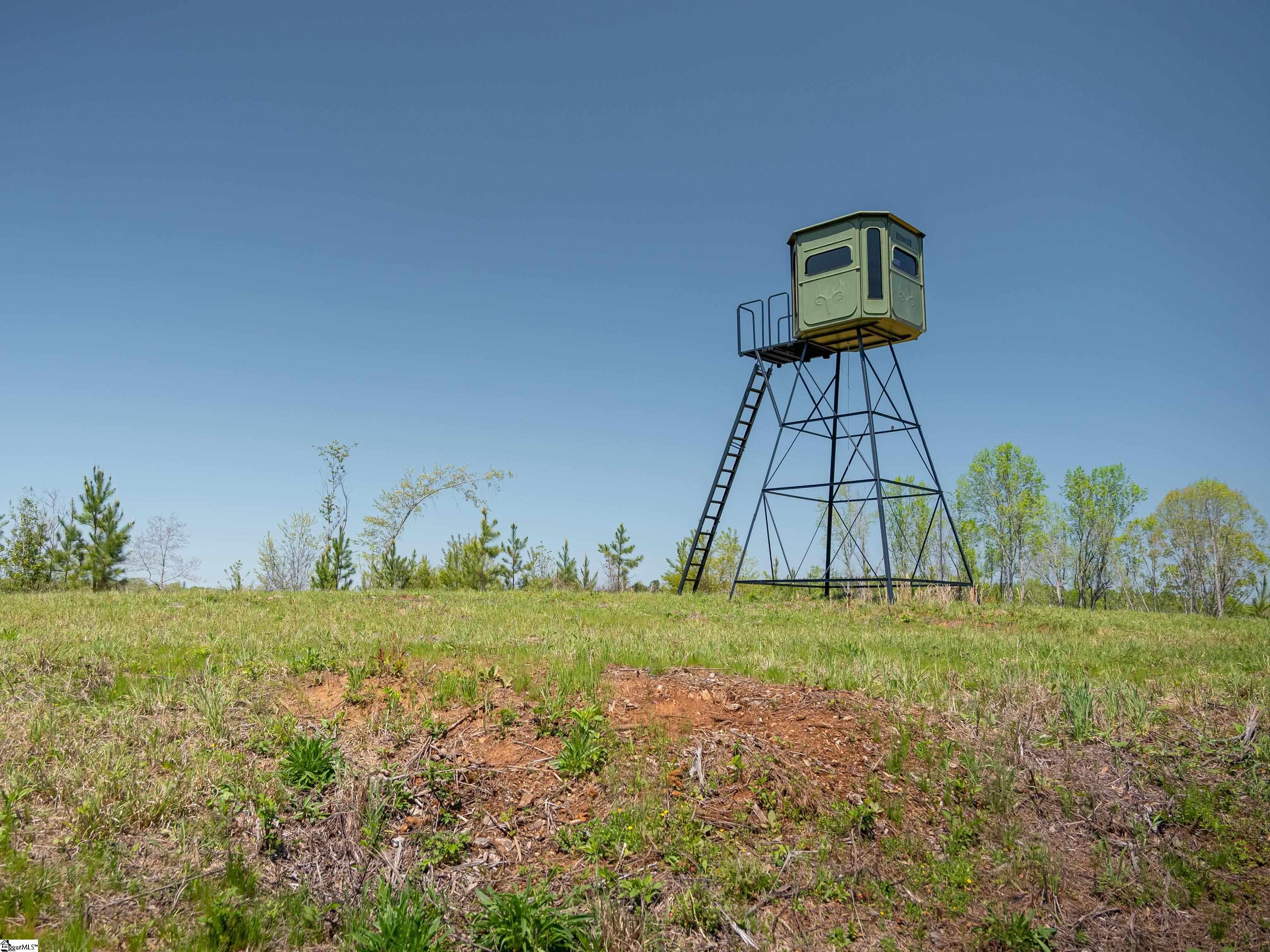 0 Mill Pine Road Central, SC 29630 - Photo 11 of 35