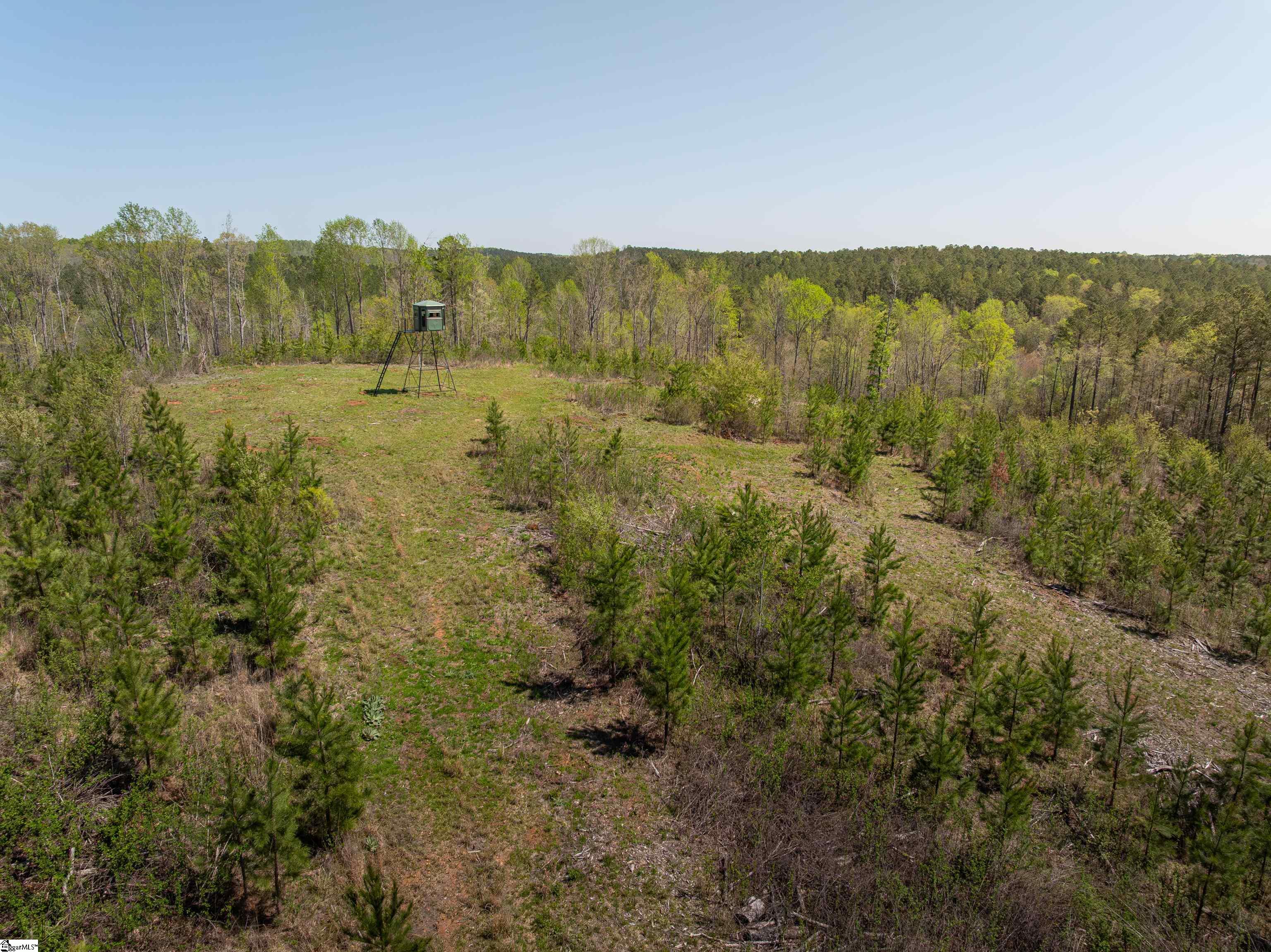 0 Mill Pine Road Central, SC 29630 - Photo 12 of 35