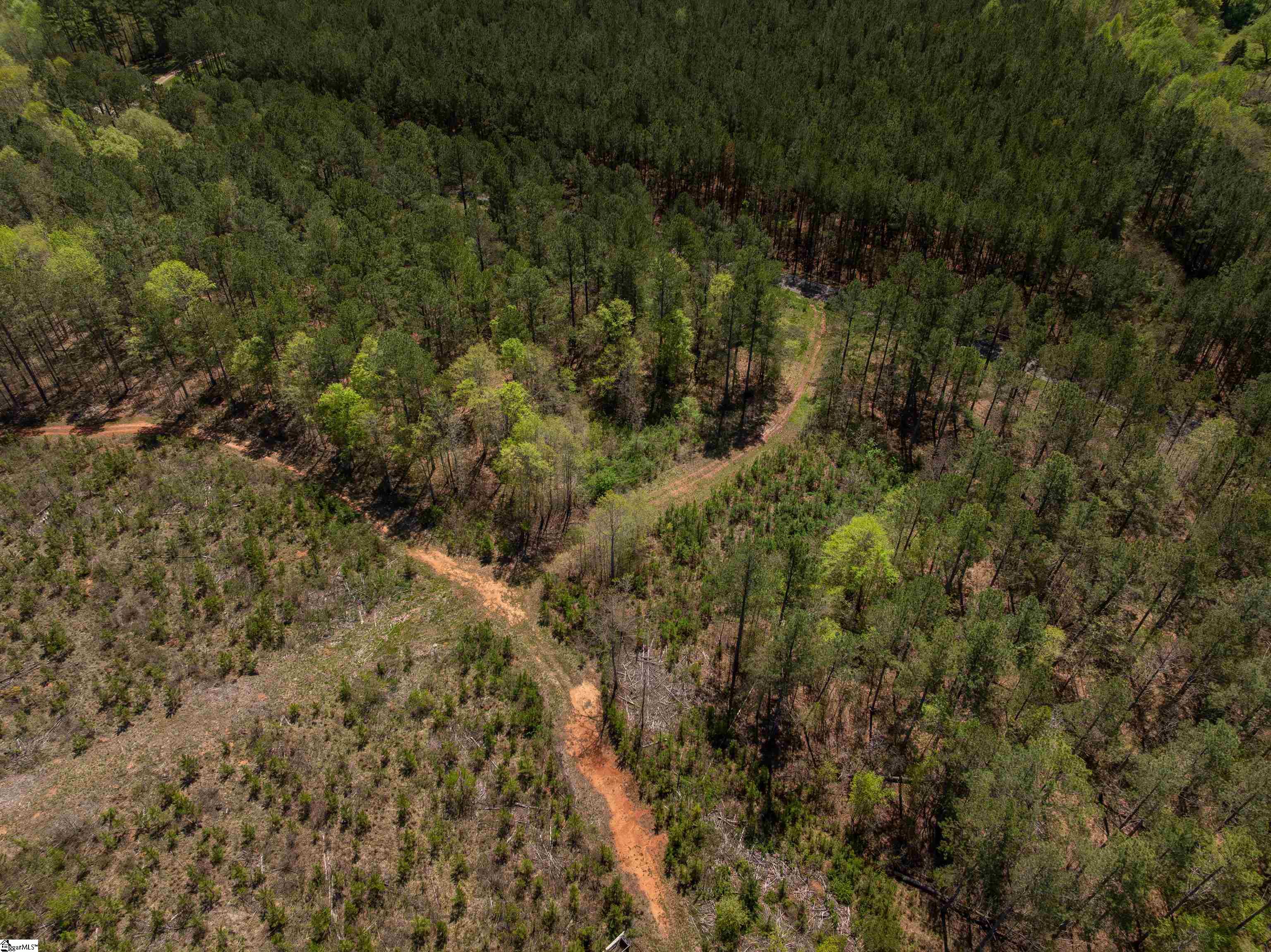 0 Mill Pine Road Central, SC 29630 - Photo 15 of 35