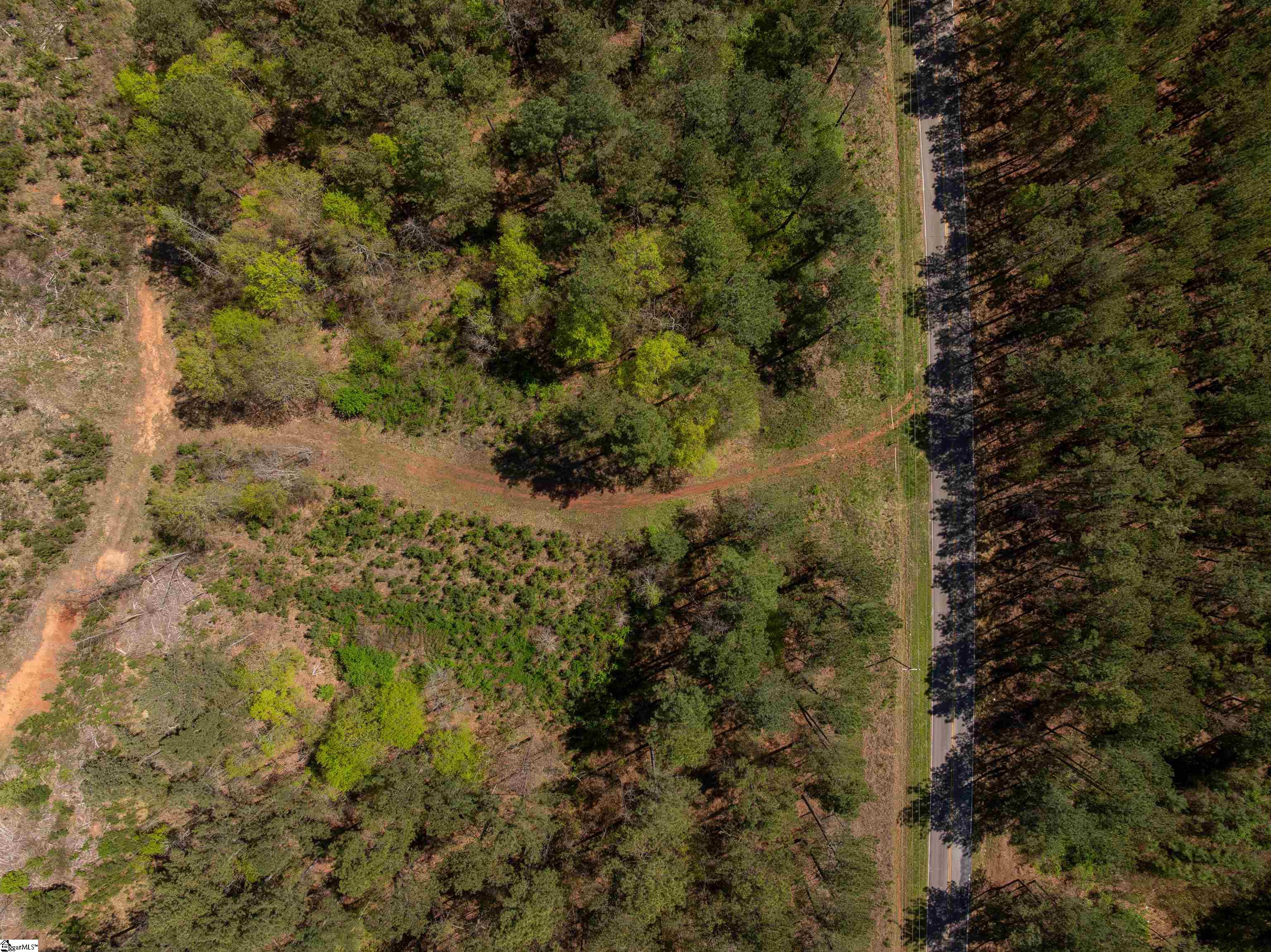 0 Mill Pine Road Central, SC 29630 - Photo 16 of 35