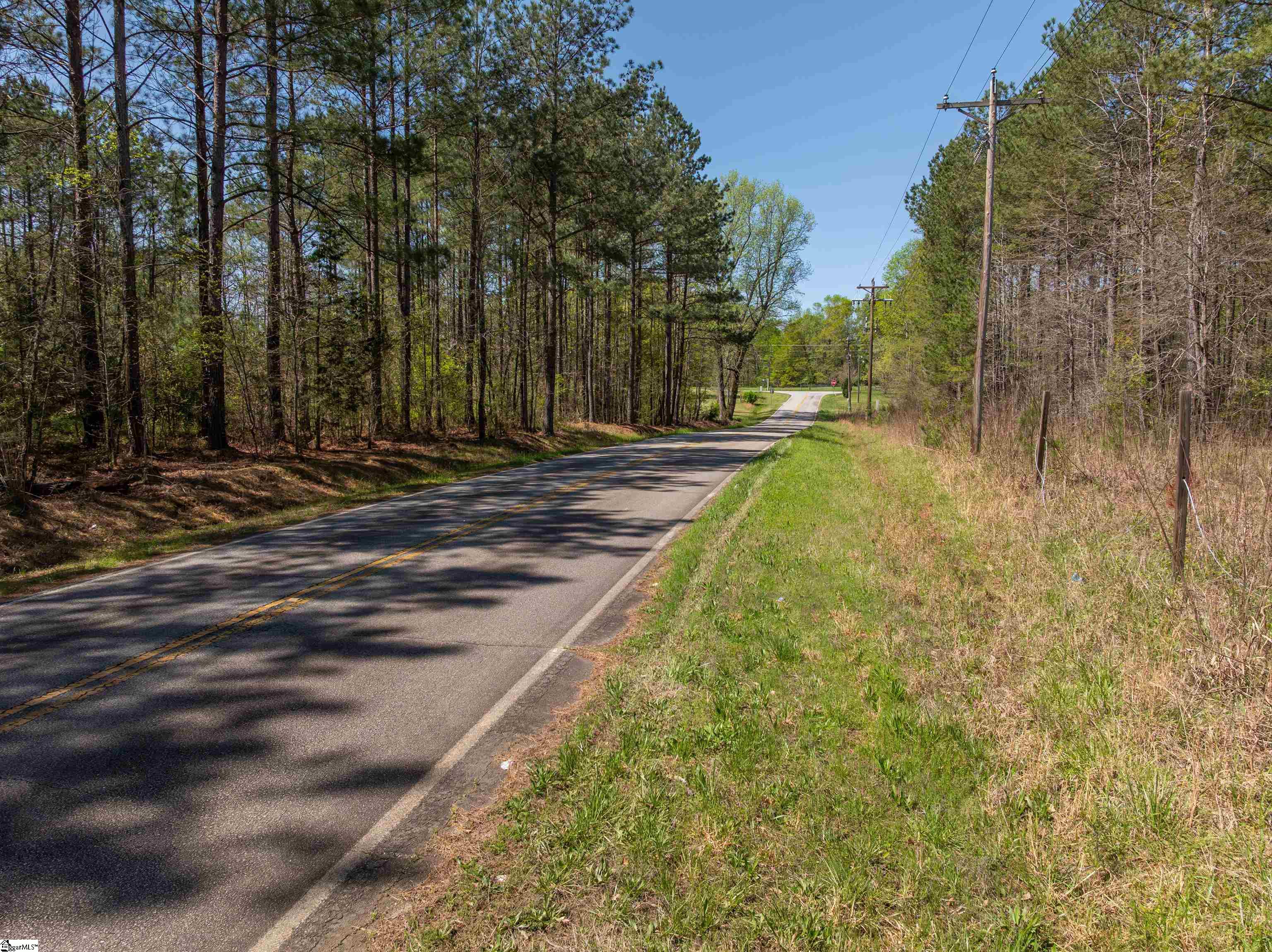 0 Mill Pine Road Central, SC 29630 - Photo 18 of 35