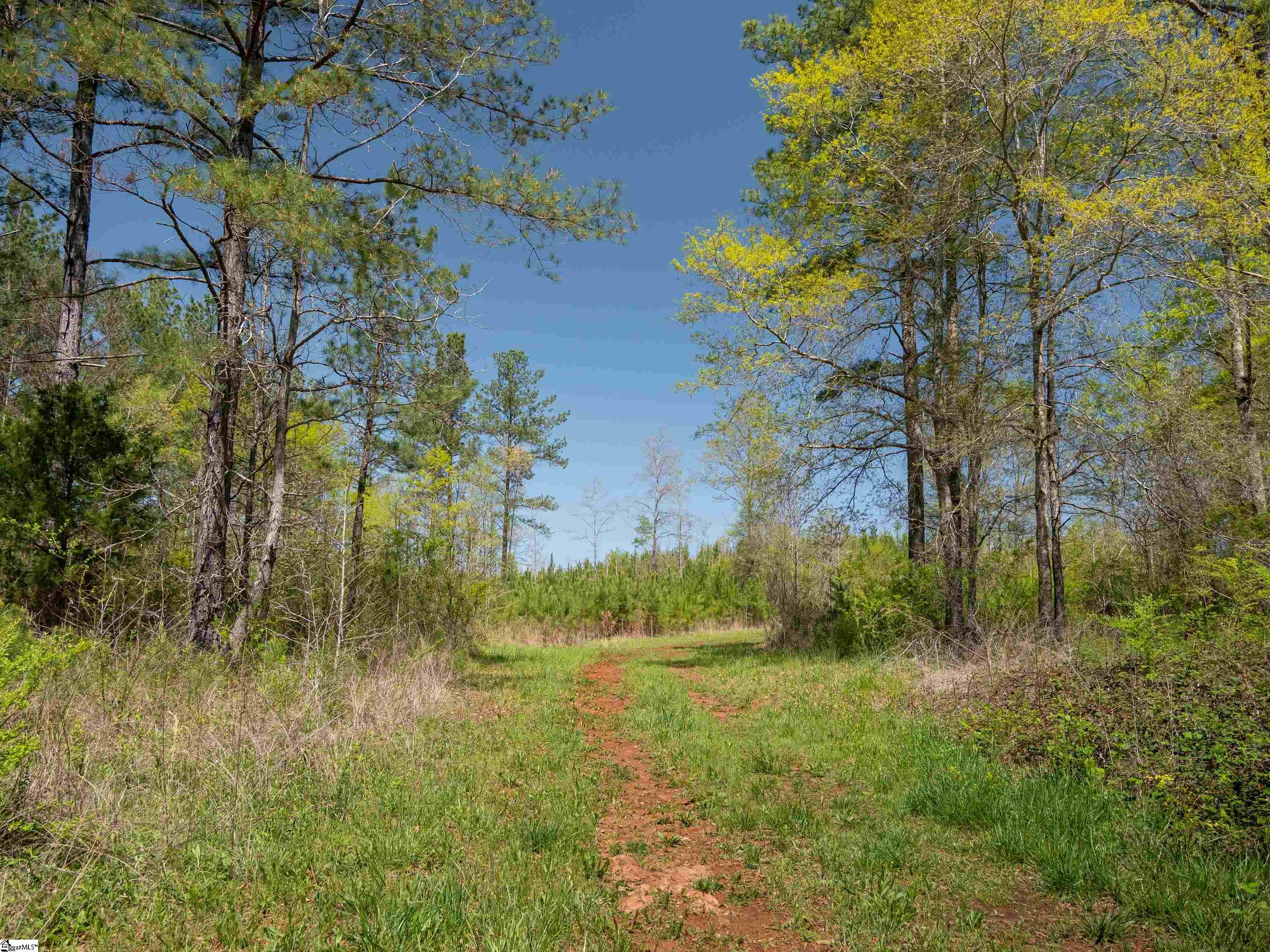 0 Mill Pine Road Central, SC 29630 - Photo 19 of 35
