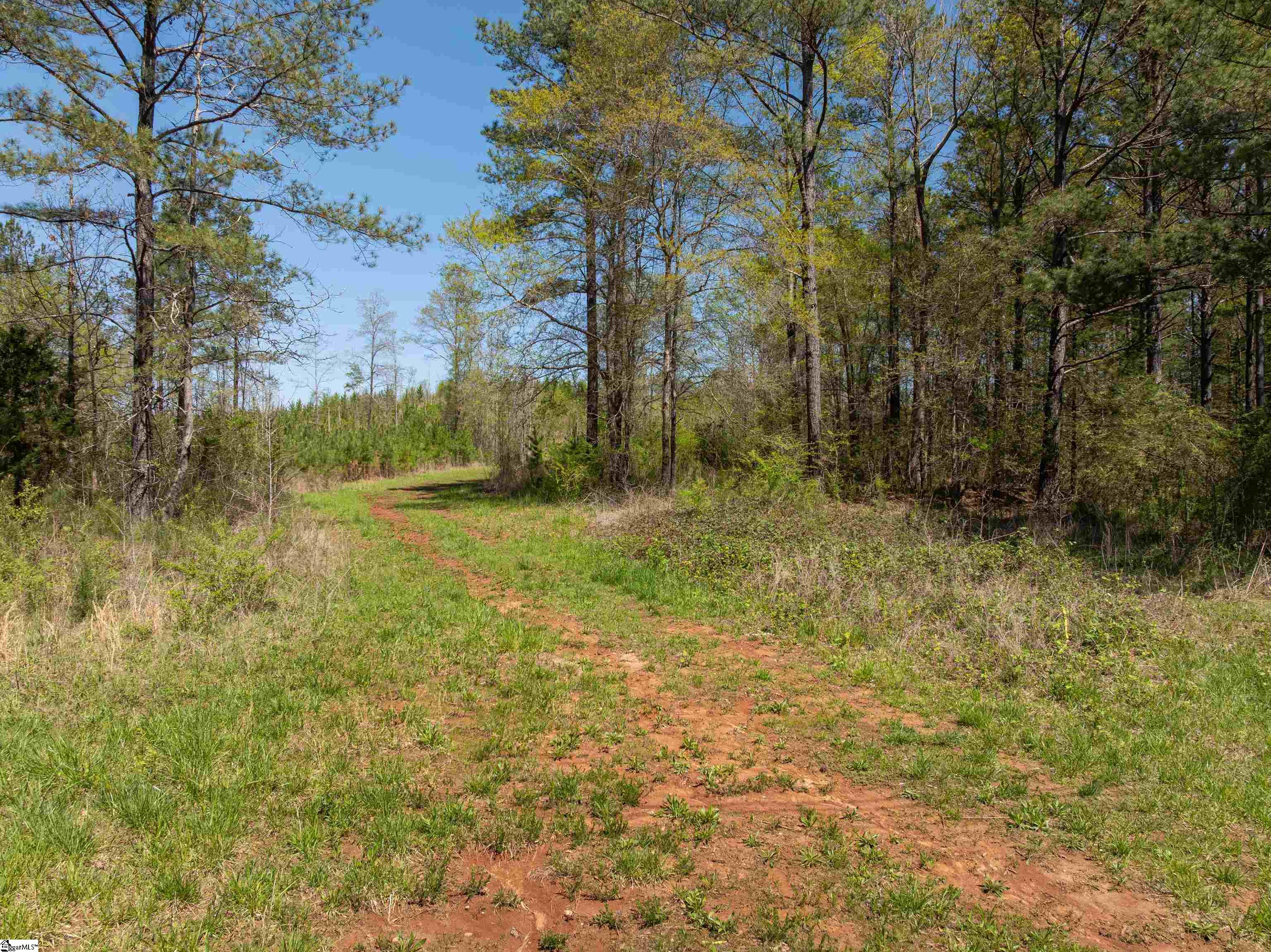 0 Mill Pine Road Central, SC 29630 - Photo 20 of 35