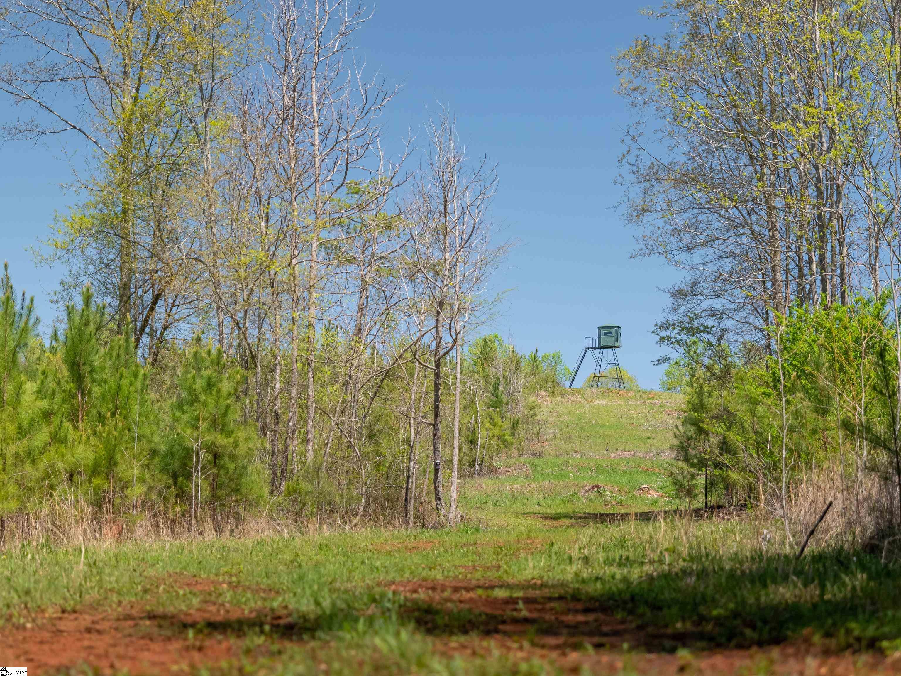 0 Mill Pine Road Central, SC 29630 - Photo 21 of 35