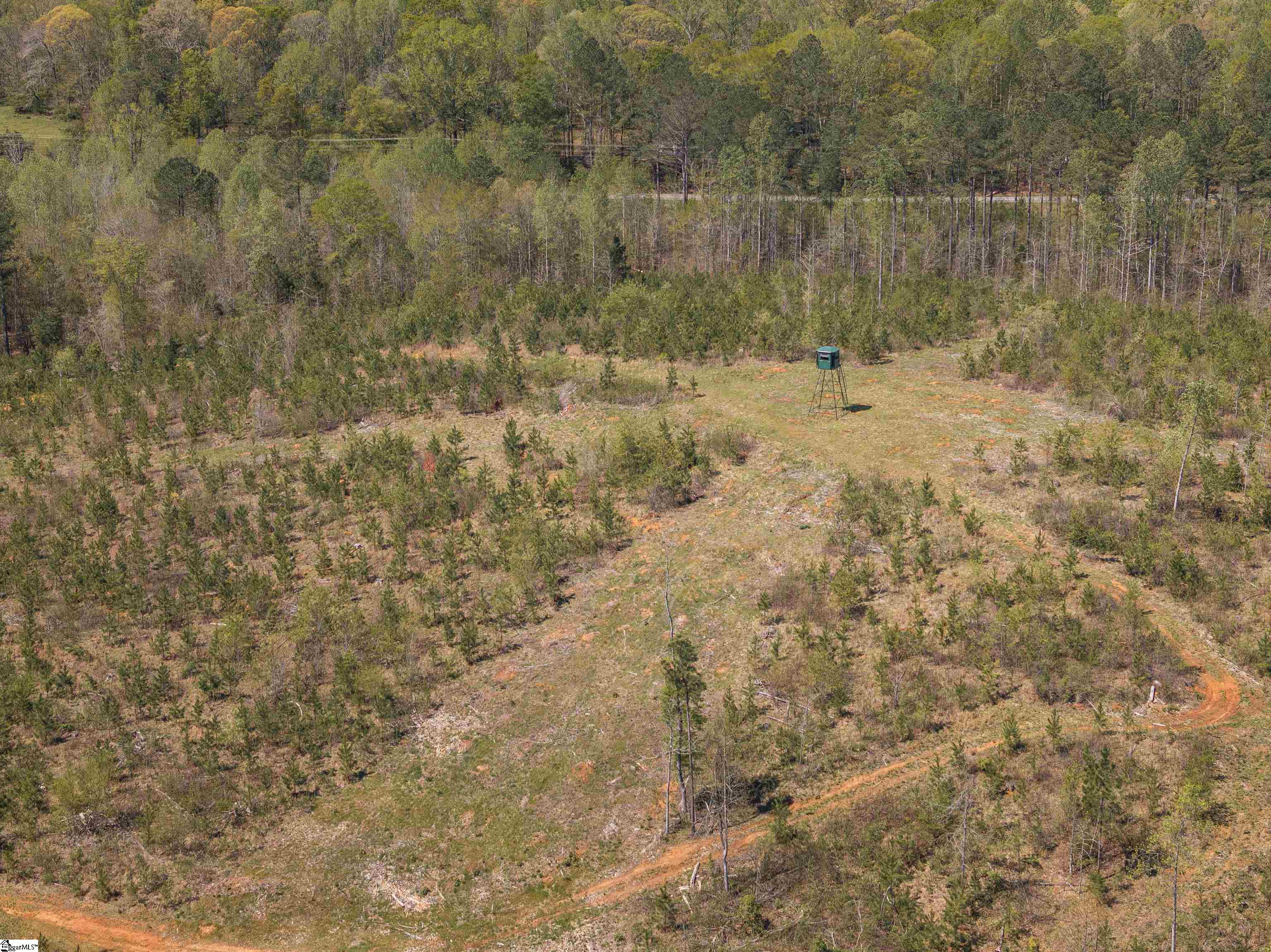 0 Mill Pine Road Central, SC 29630 - Photo 24 of 35