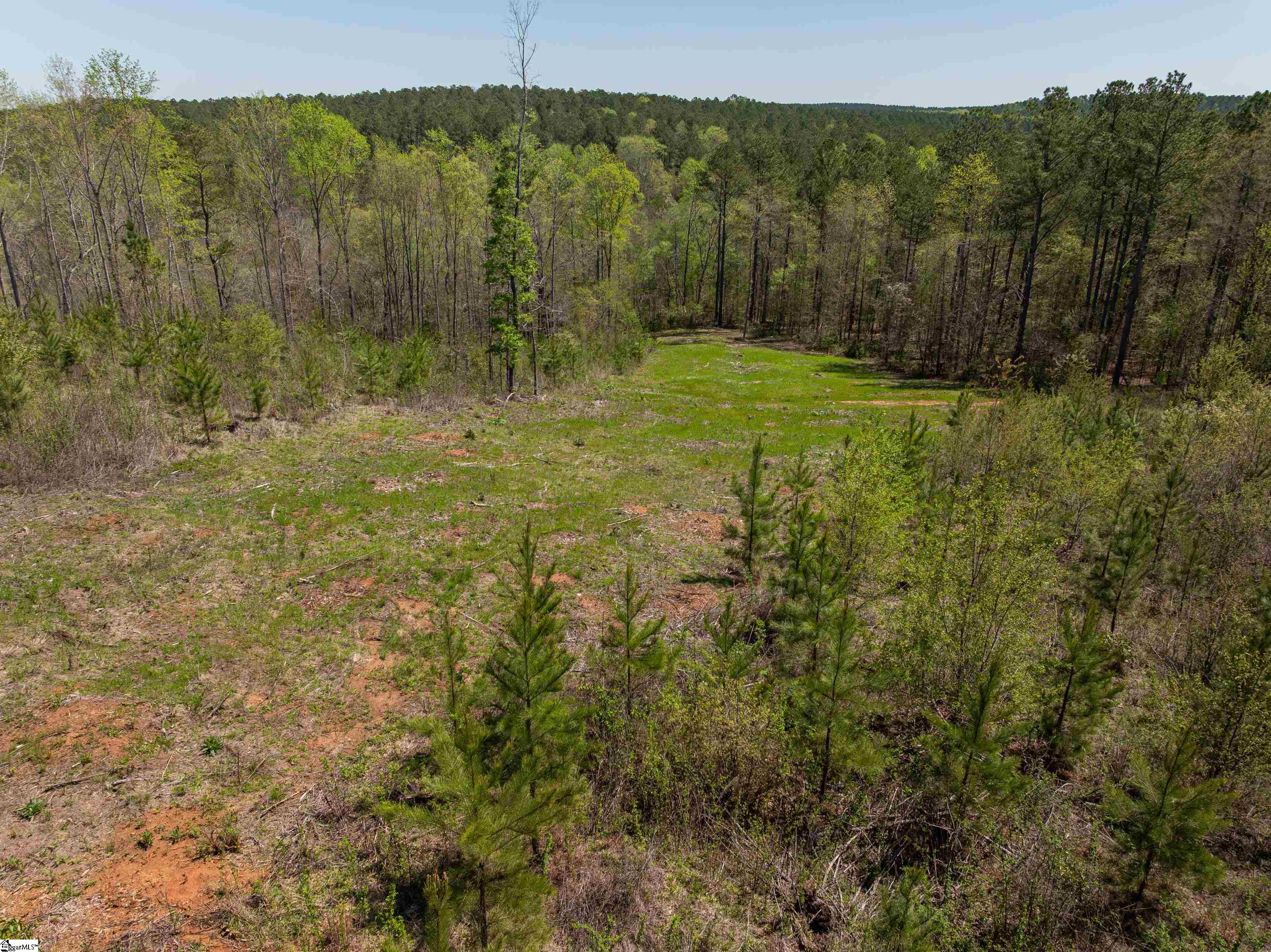 0 Mill Pine Road Central, SC 29630 - Photo 26 of 35